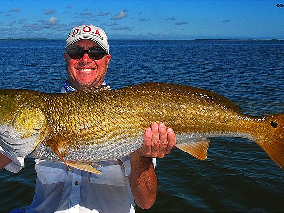 Excellent Saltwater Fishing