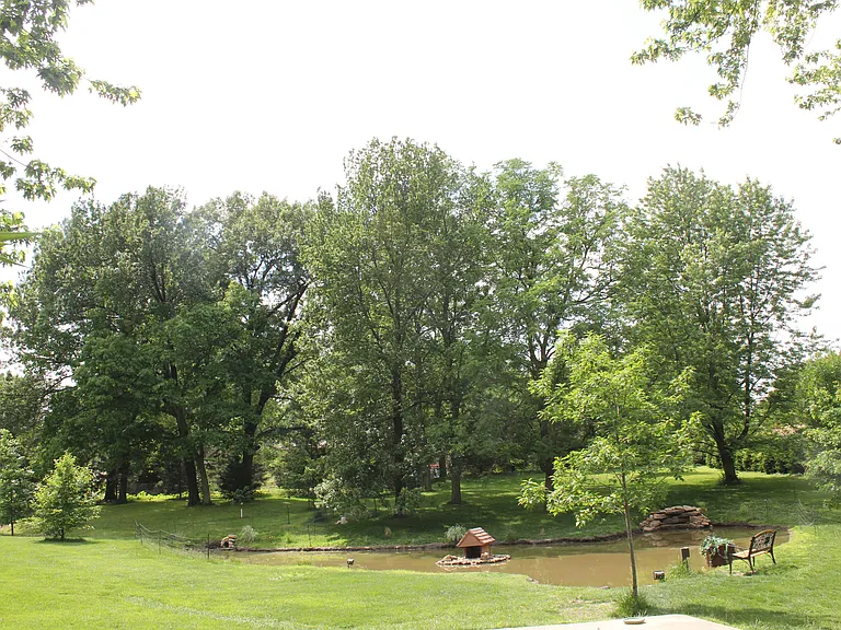 STREET VIEW OF TOTAL YARD