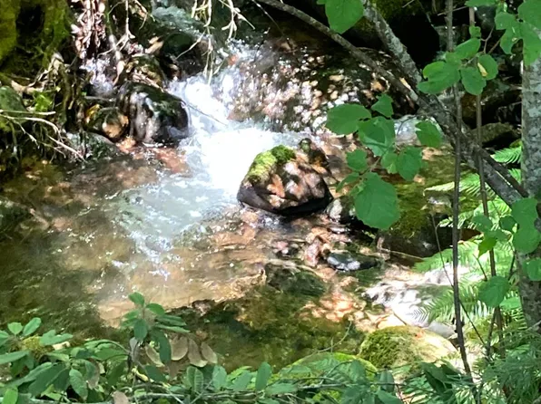 Baker Rd, Camptonville, CA 95922