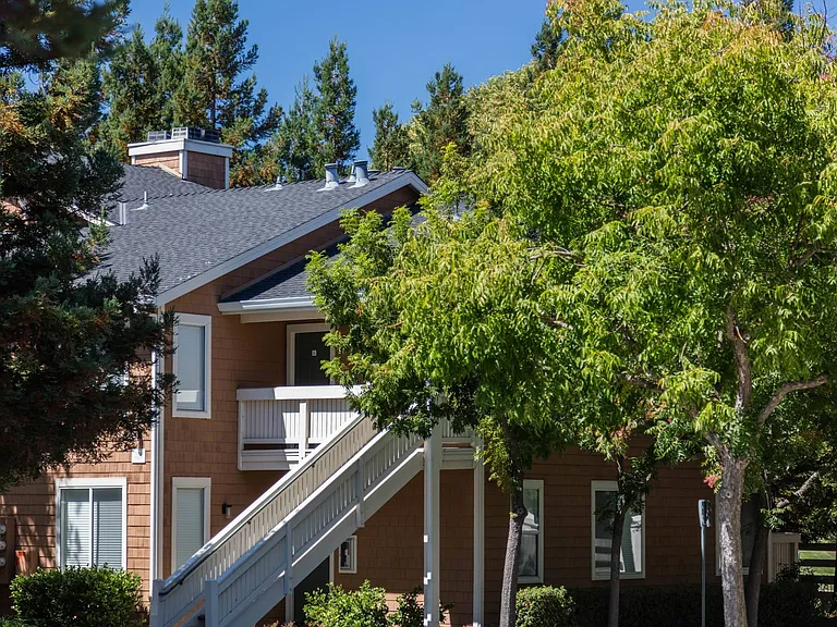 Park Wood Apartments — Photo 16