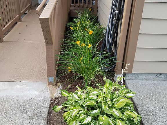 3rd image of 12612 SE 8th St