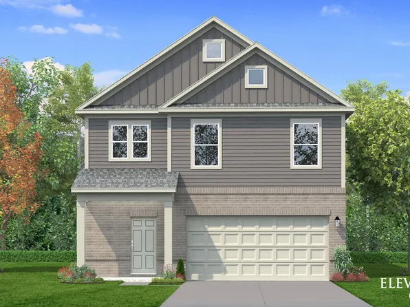 Lavender Plan, Spring Branch