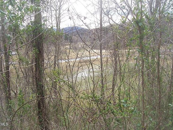 3rd image of LOT 5 Sanctuary Shores Way