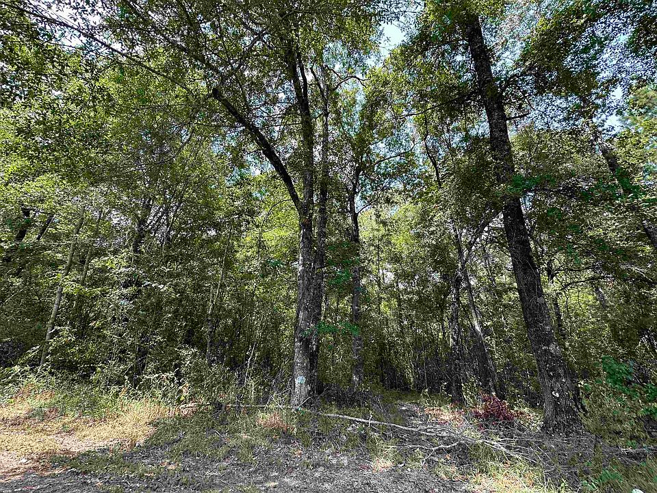 2nd image of LOT 4 Oleander St