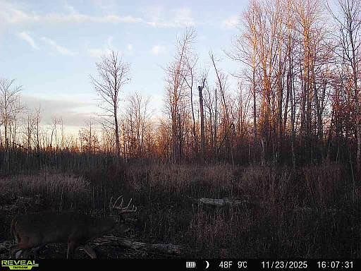 4th image of Xxx Fleming Logging Rd