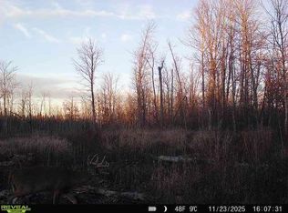Xxx Fleming Logging Rd, Hinckley, MN 55037