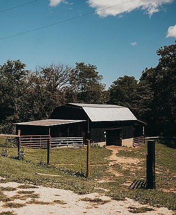 5th image of 174 Roy Ln