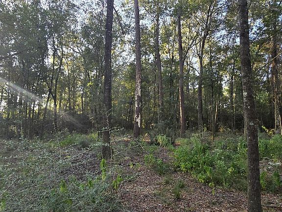 5th image of 7555 Broussard Rd