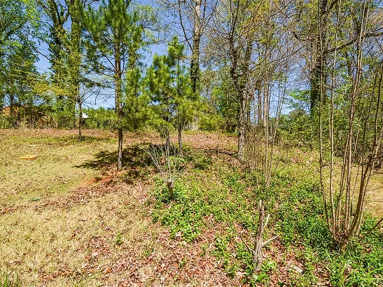 160 Timber Creek Ln SW — Photo 47
