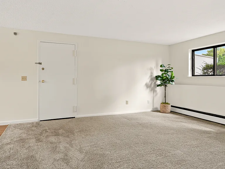 1 Br Apartment