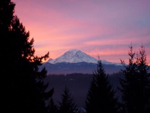 Beautiful Views from Home