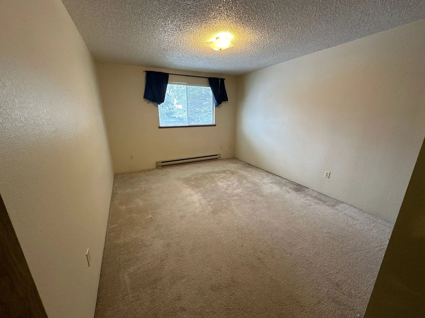wil503 — Photo 4
