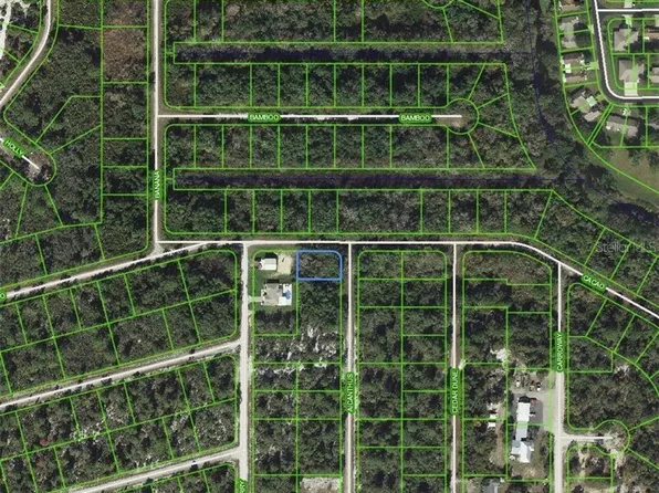 1218 Ailanthus St #20, Lake Placid, FL 33852