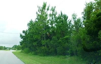 4th image of 30 Buttermill Dr
