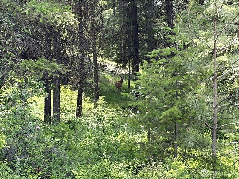 5th image of 33 Outback Road