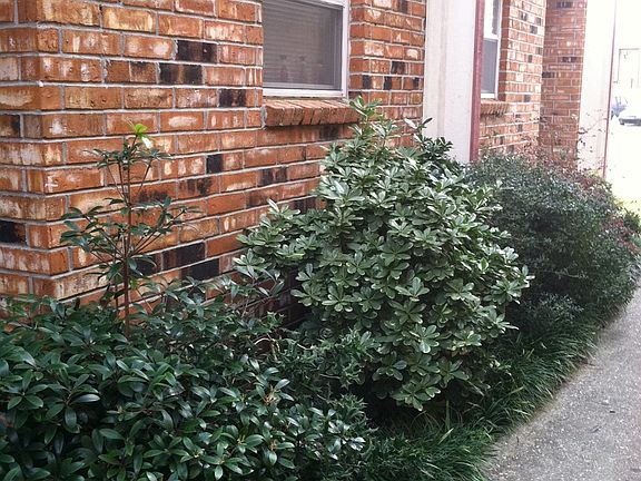 Garden/exterior