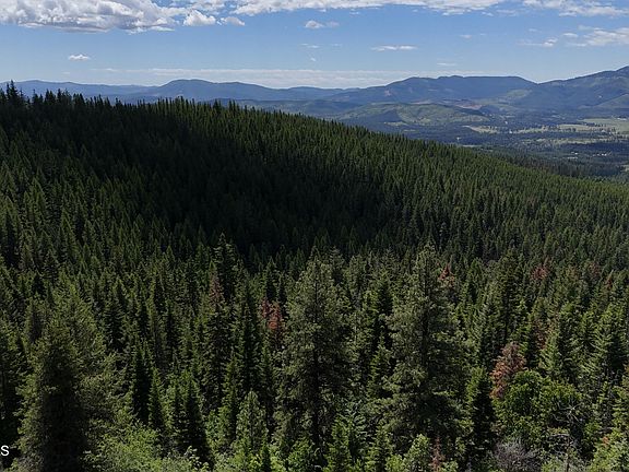 4th image of 2407 Crystal Peak Rd