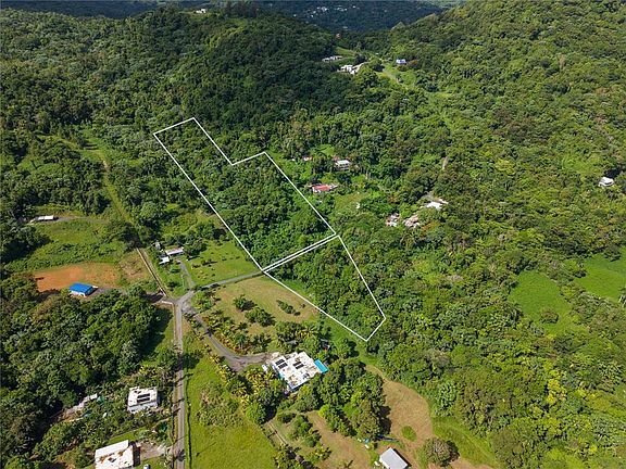 3rd image of MATA DE PLATANO