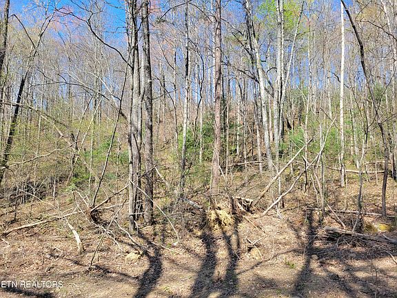 2nd image of LOT 13 Honeysuckle Ln