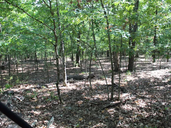 000 Lakeshore Road Lot 41, Protem, MO 65733