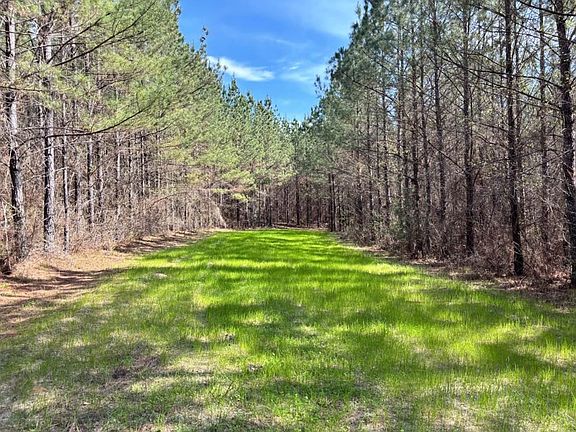 5th image of 0 County Road 415