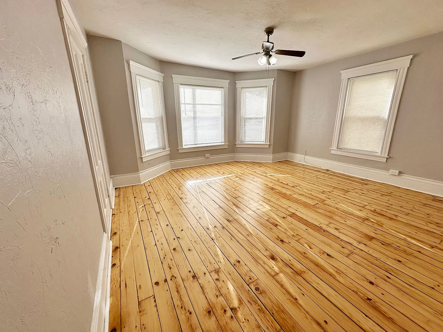 38 Oriole Street — Photo 4