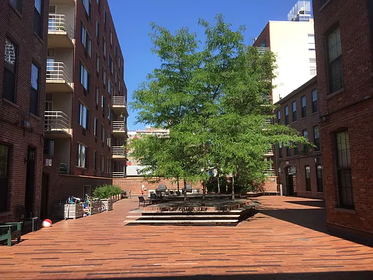 Rented by Halstead Real Estate | media 14