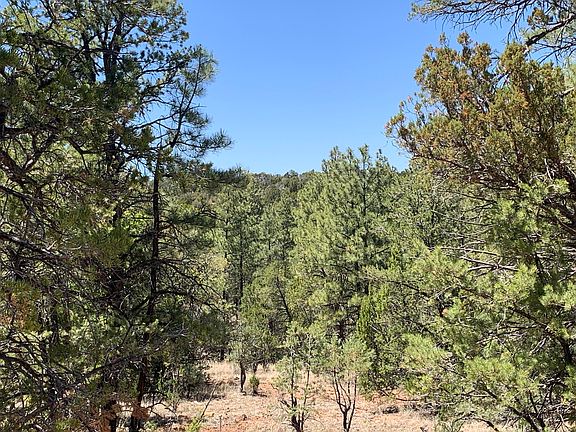 4th image of 8761-8657 Mogollon Trl