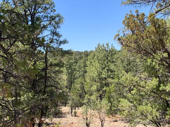 8761-8657 Mogollon Trl, Happy Jack, AZ 86024