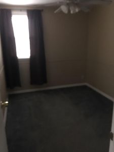 3666 Salina Rd, Philadelphia, PA, 19154
