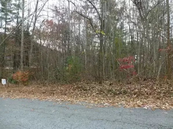 Mountain View Cir, Hampton, TN 37658