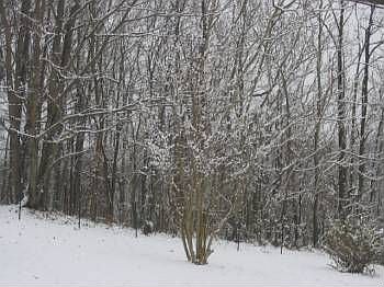 2nd image of 2068 Pilot Mountain Rd