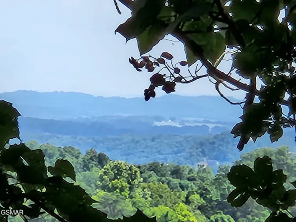 0 Lower Rinehart Rd, Dandridge, TN 37725