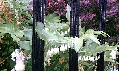 Rented by Brooklyn Heights Real Estate Inc