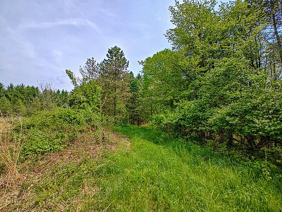3rd image of Tipsico Lake Rd Parcel B