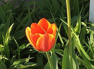 2178 Talbert Dr, Chico, CA 95928