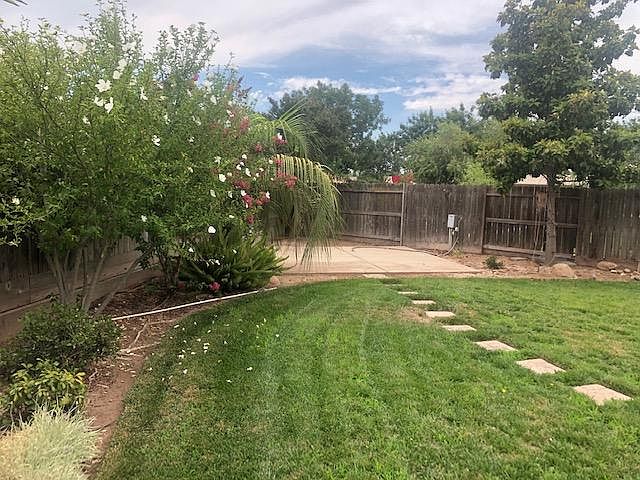 Very large back yard