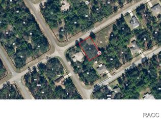188 W Navarro Pl, Citrus Springs, FL 34434