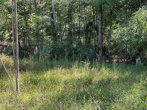 2nd image of Ridge Dr