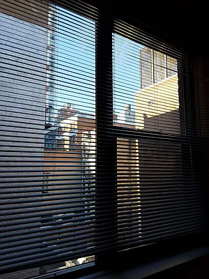 Rented by Compass | media 15