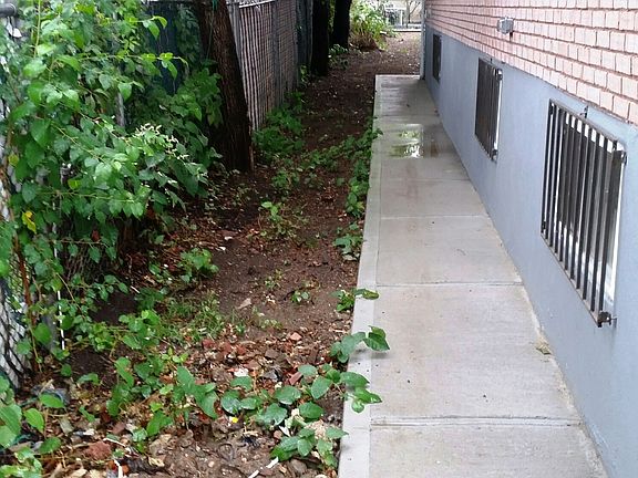 3rd image of 10778 Watson Pl