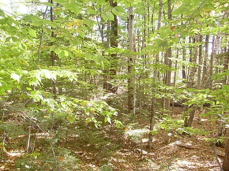 2nd image of 00 Harmon's Hill Road