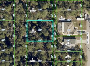 Las Palmas Ave LOT 13, Spring Hill, FL 34606