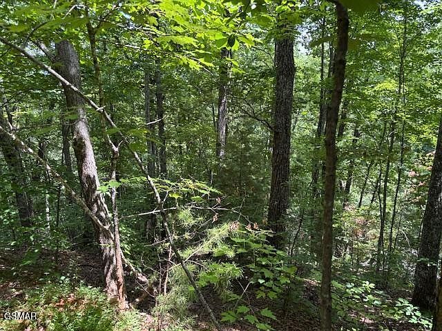 2nd image of 1302 Balsam Cir Lot 1302