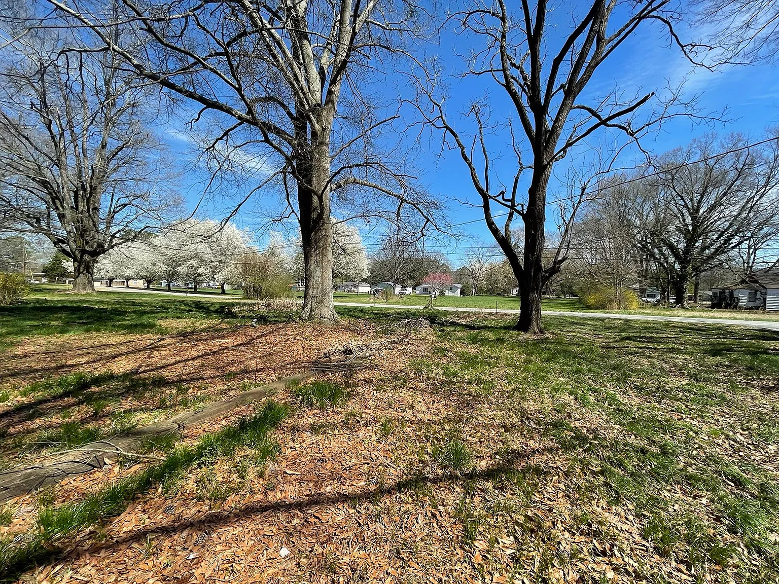 156 Silver Circle - 1 — Photo 2