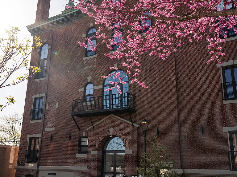 The Roe at Manayunk Apartments and Townhomes — Photo 89