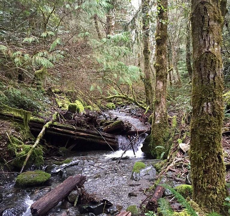 1st image of 40 Acres Three Creeks None