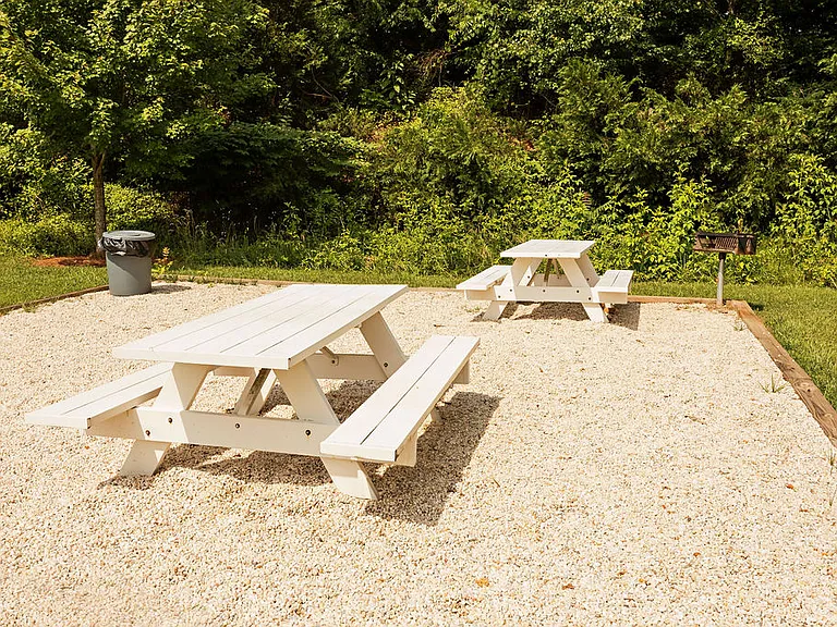 The Pointe at Robinhood Village — Photo 8