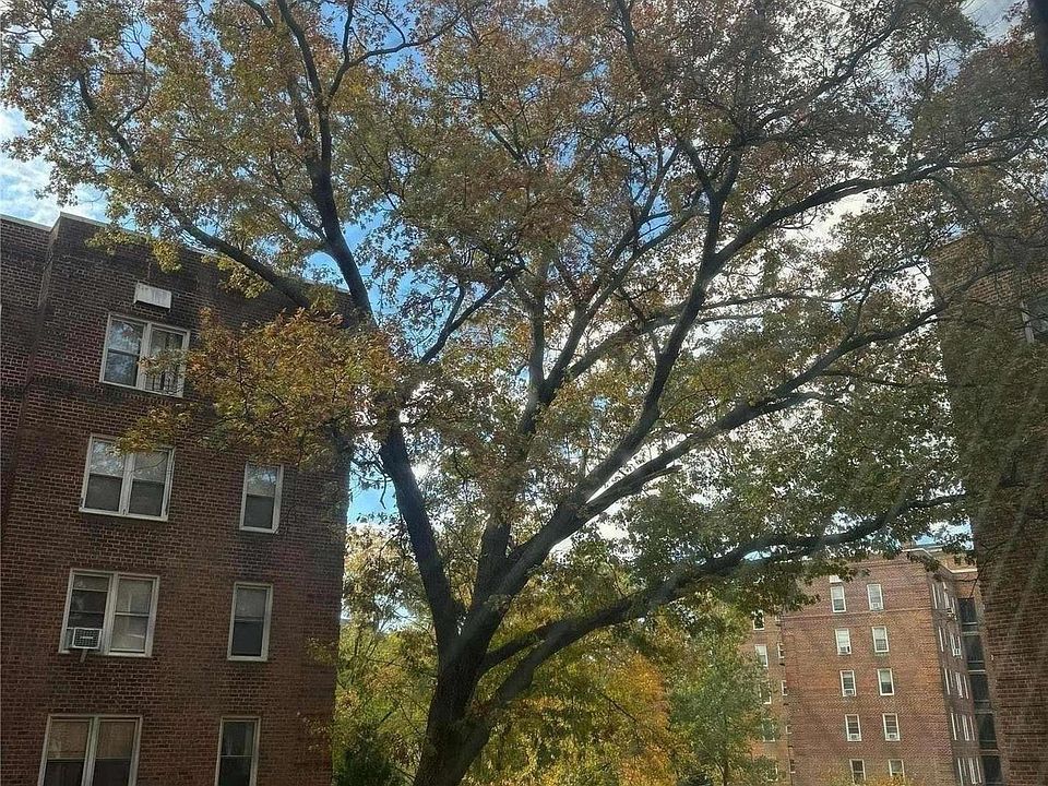 Netherland Gardens Apartments Bronx, NY Zillow