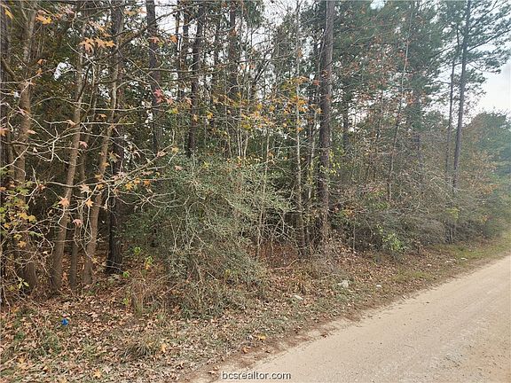 3rd image of LOT 1 Yupon Ln
